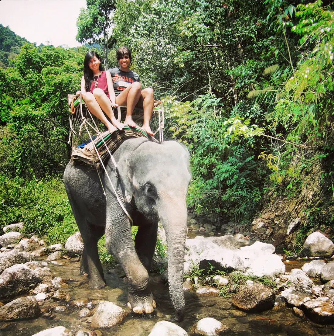 Amanda Quick riding an elephant while studying abroad.